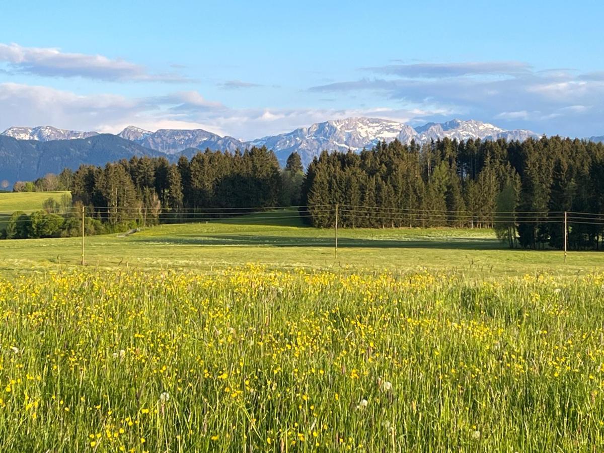 Allgaeu Pension "Ab In Den Sueden" Bernbeuren Eksteriør bilde